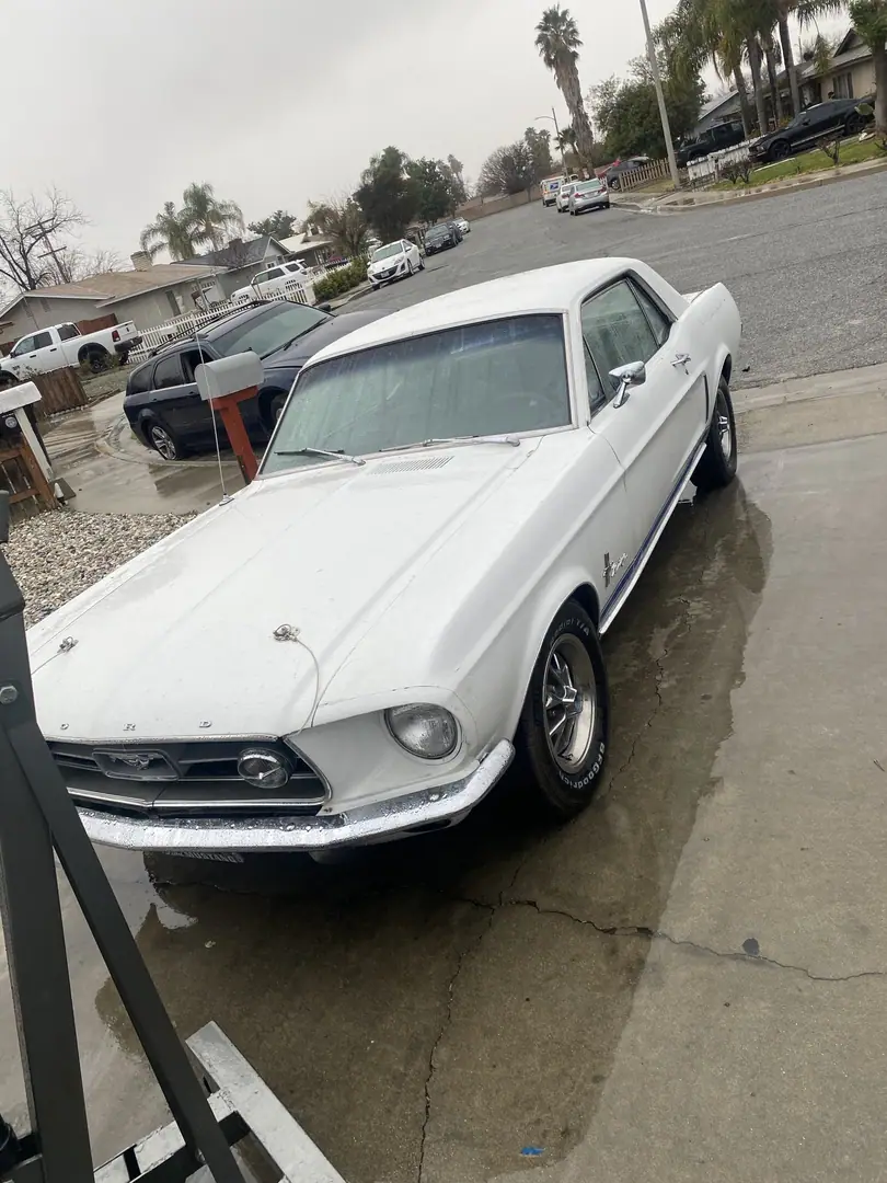 A white classic Mustang coupe parked in a driveway, February 2025