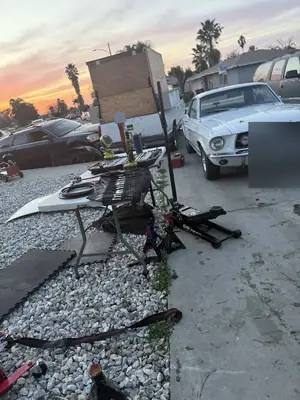 Mustang in the gravel yard at sunset