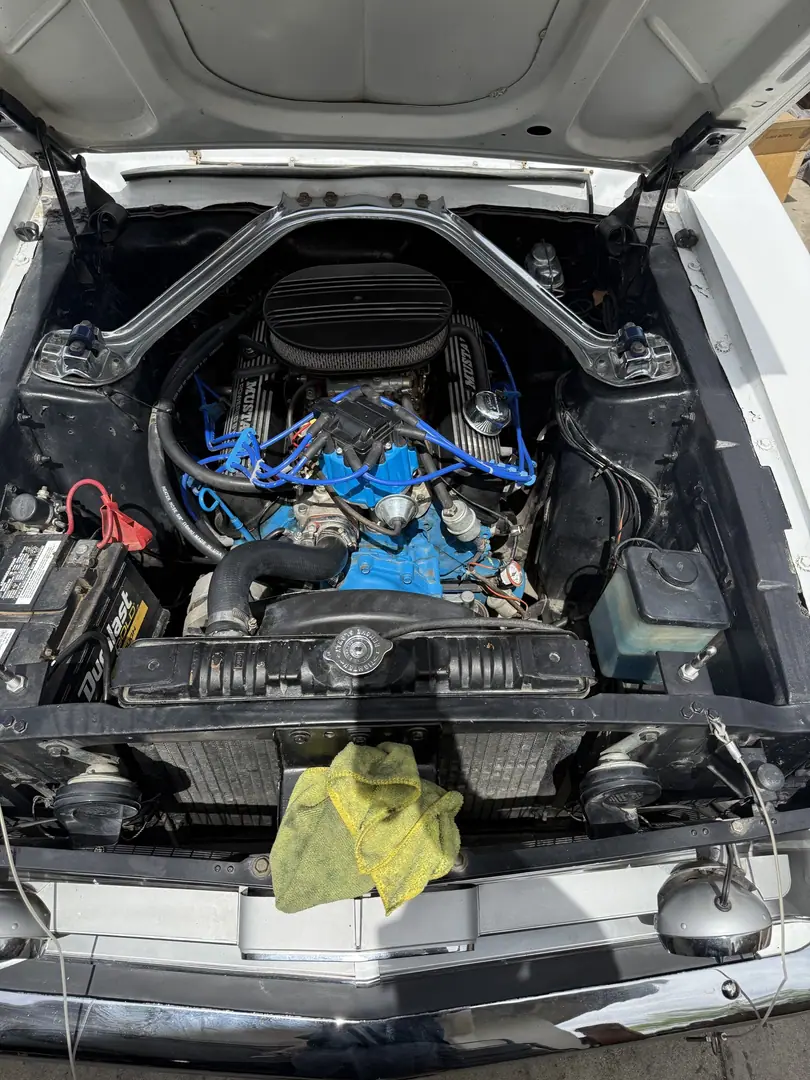 A Ford V8 with blue valve covers and blue plug wires in a classic Mustang engine bay