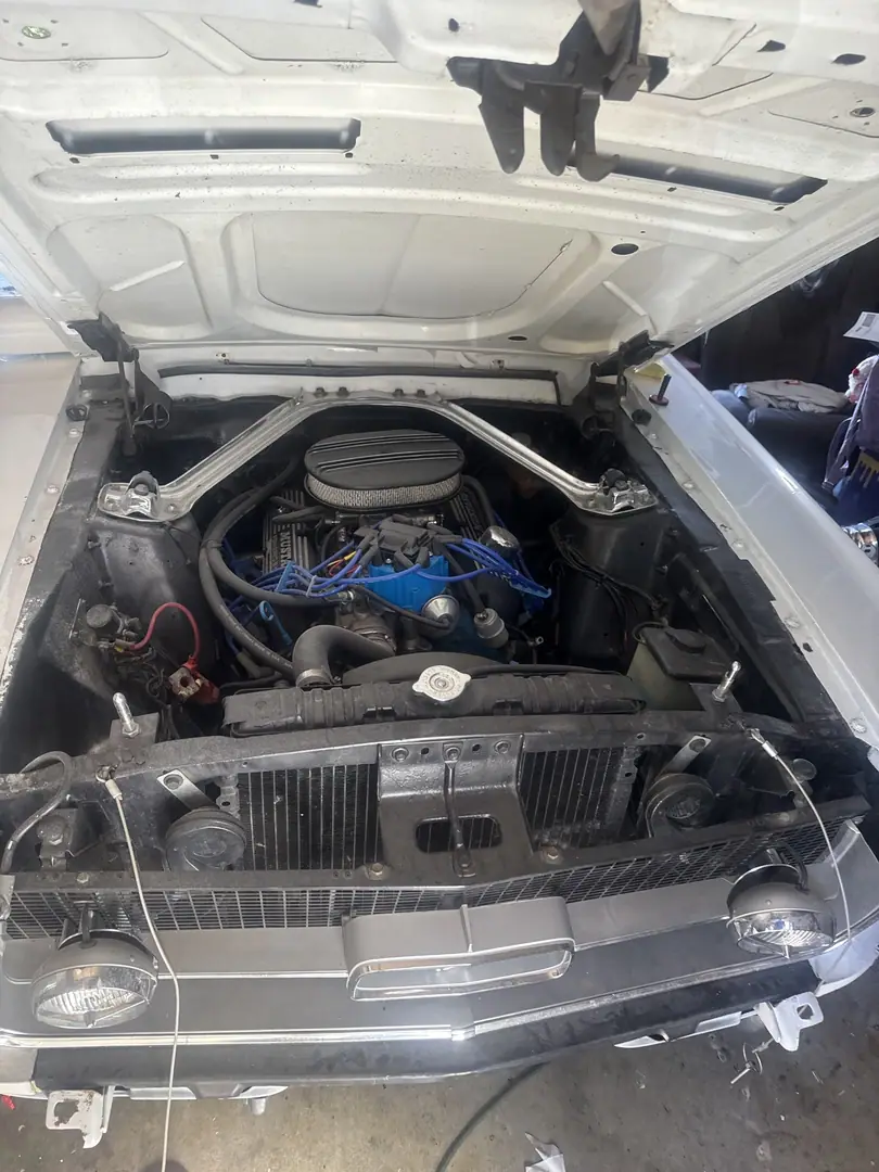 The classic Mustang engine bay in October 2025 before the engine came out