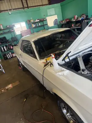Mustang with the hood open in the bay