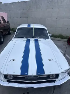 Blue stripes on the Mustang hood, overhead