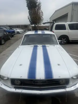 Mustang front with blue stripes in the lot