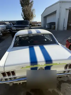 Mustang trunk with blue stripes