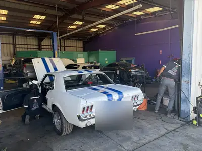 Finished Mustang rear three-quarter in the bays