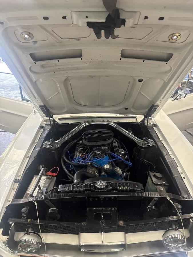 1967 Mustang 289 V8 engine