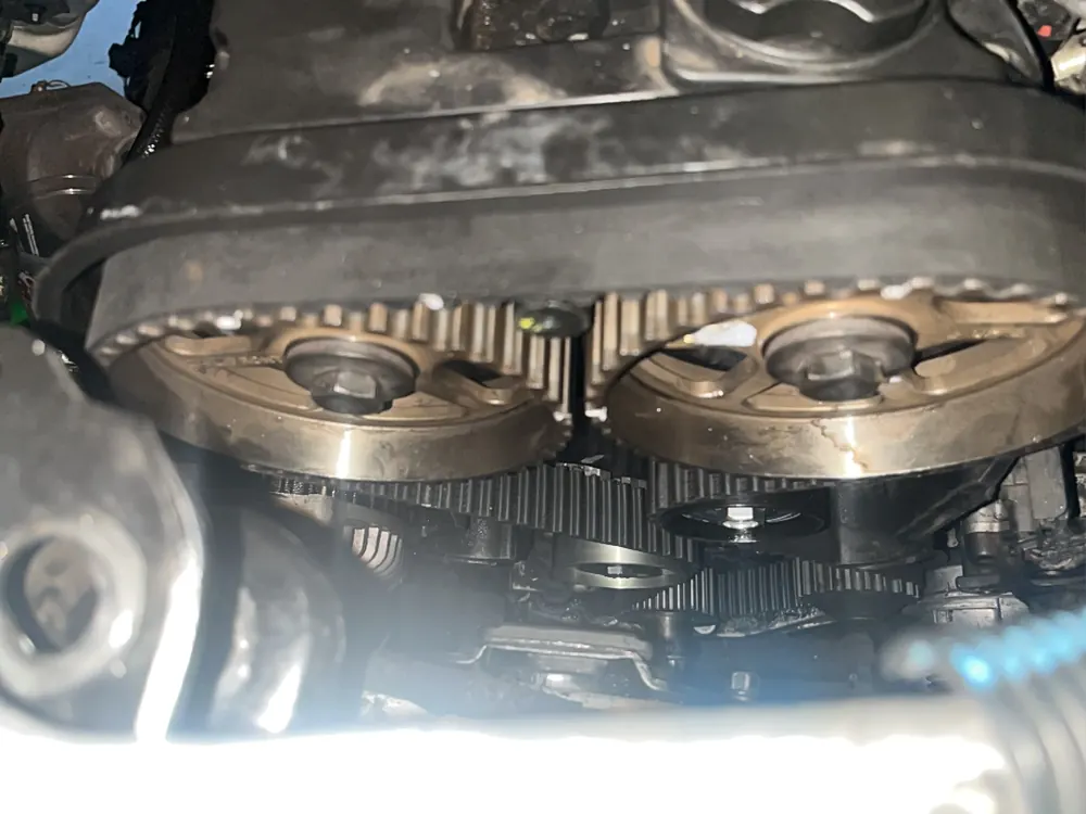 Twin camshaft gears and timing belt exposed during a timing service